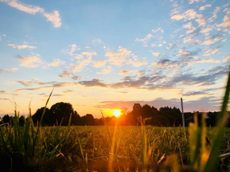 How Solar Power is Transforming the Planet: A Bright Solution for a Better Future☀️